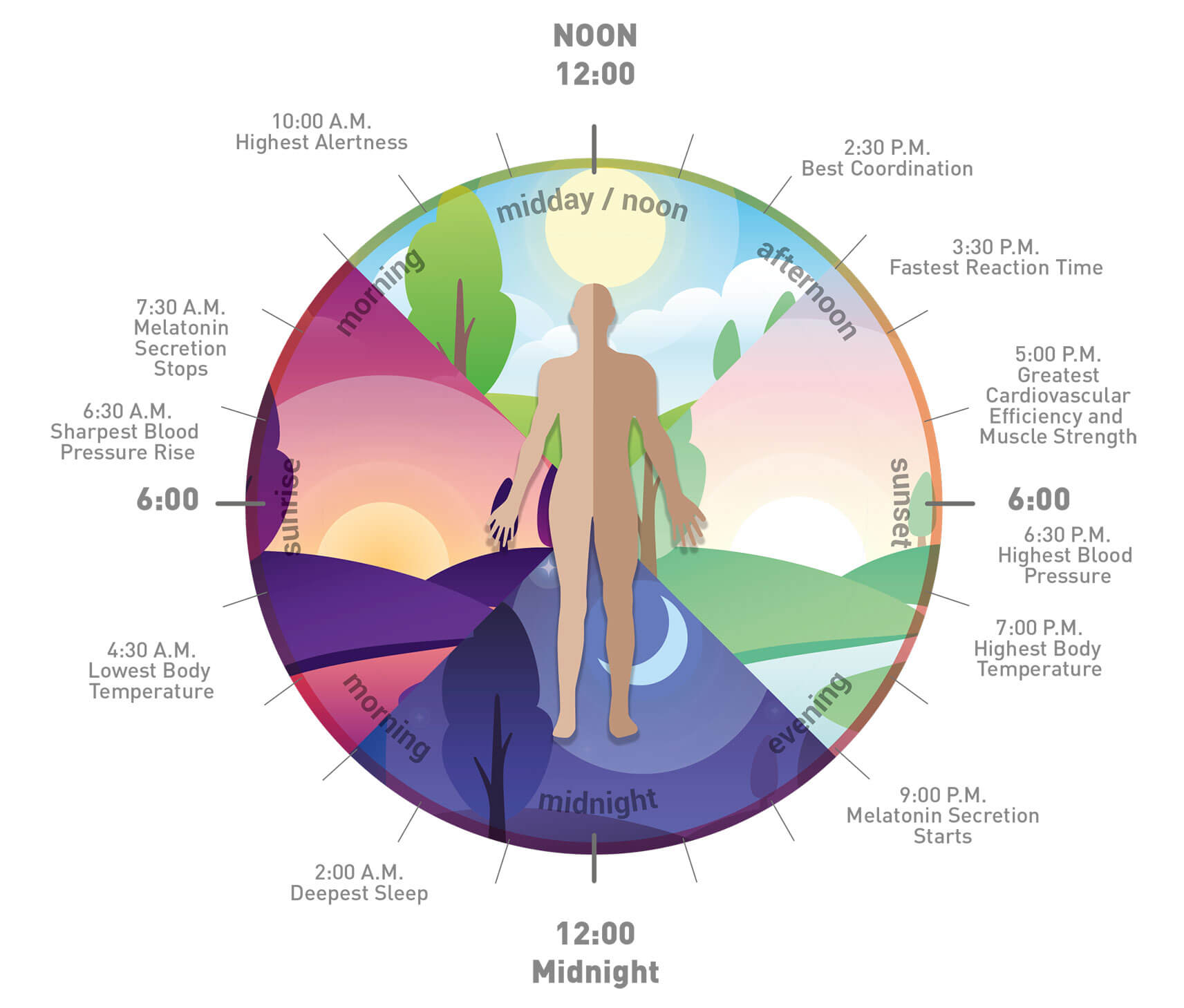 How Light Affects Us In Our Home